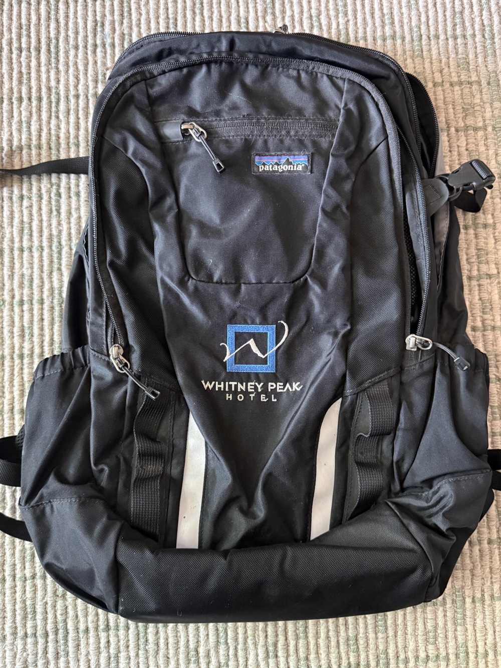 Patagonia 25L Backpack
